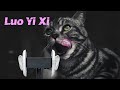 ASMR with KITTENS 🐱 Ear to Ear Purring, Goodie Smacking, Fur Grooming, Ear Eating