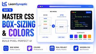 Day 12 | Master CSS Box-Sizing & Colors Like a Pro | Build Pixel Perfect Websites