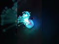 Flower lamp #shortvideos