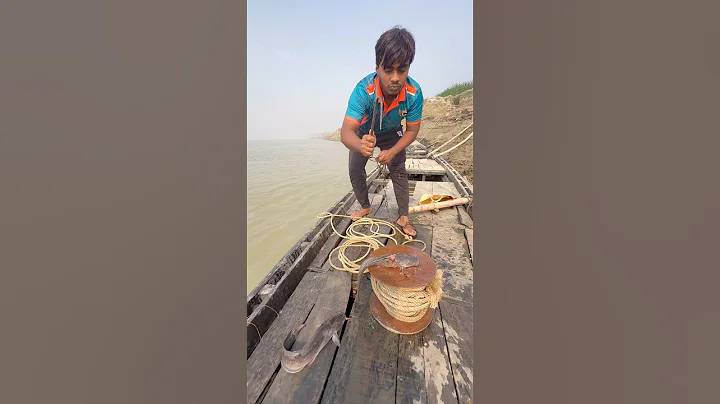 Amazing tasty catfish bait throwing method video  #fishinglife  #riverfishing  #bait  #shorts