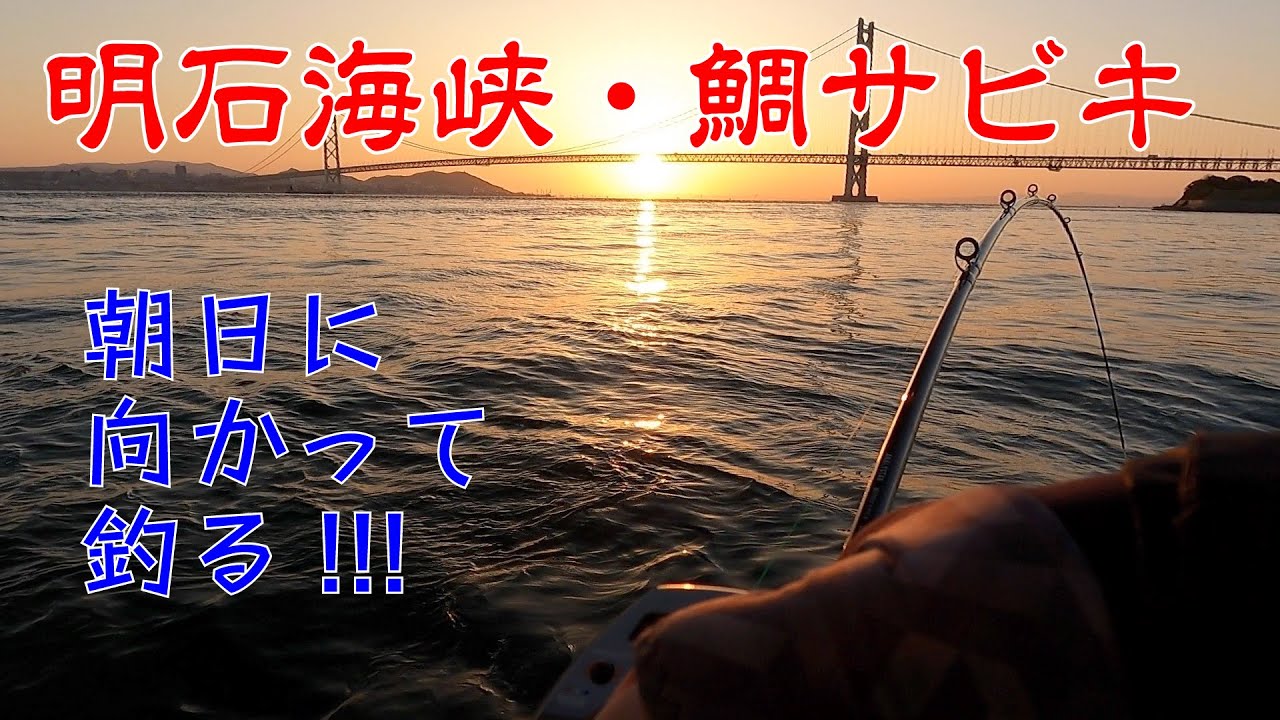 明石海峡 鯛サビキ 朝日のキレイな明石大橋に向かって竿を出す醍醐味 Youtube