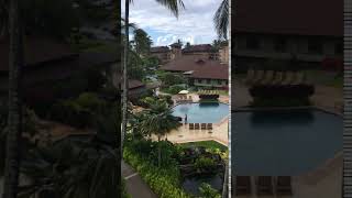 IMG 1804