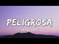 FloyyMenor Peligrosa Lyrics Miren A Esa Nena La Que Va Pasando Tiktok Song