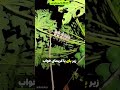 نقشه ش خیلی ساکت اجرا شد اما نتیجه ش شوکه کننده بود نقشه ش خیلی ساکت اجرا شد اما نتیجه ش شوکه کننده بود