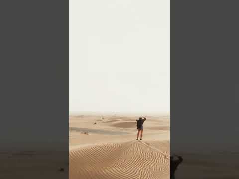 Cool and unique dubai's desert safari #shorts #dubai #dubailife #desert