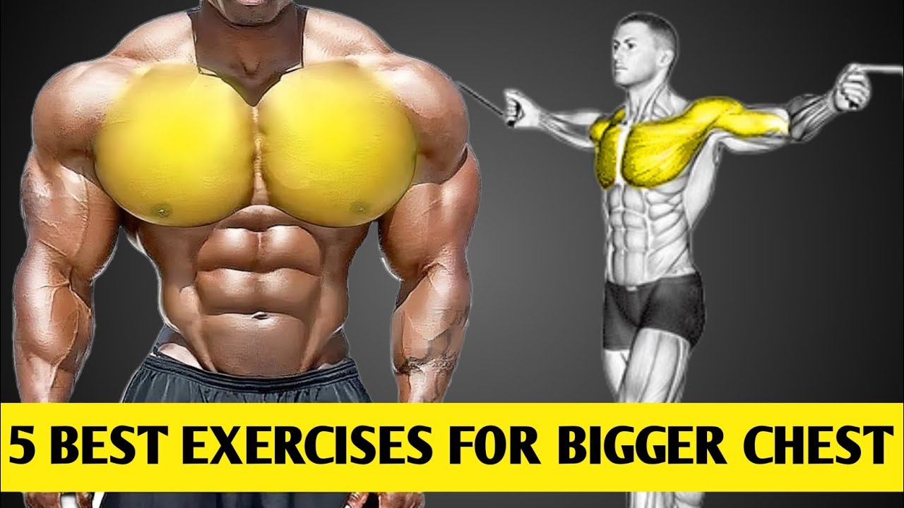 5 best exercises for bigger chest - go go gym go - YouTube