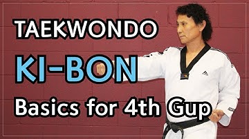 🥋 Taekwondo 4th Gup Kibon (Basic Blocks and Strikes) | TaekwonWoo