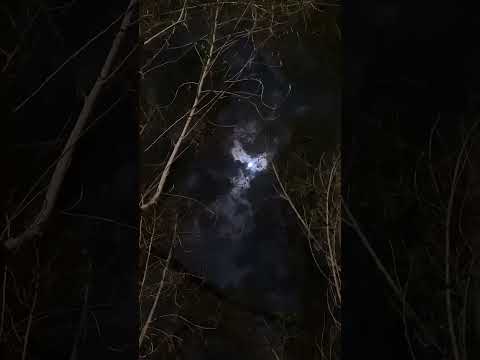 قومت بالواجب محمد نور 