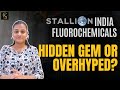 Stallion India Fluorochemicals Limited || HIDDEN GEM OR OVERHYPED?