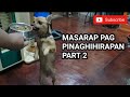 MAS MASARAP PAG PINAGHIHIRAPAN 2 - TIKI GIRL POM CHIHUAHUA
