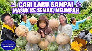 Download Lagu TIDAK SIA SIA PAWEIXUN CARI LABU SAMPAI KE DALAM SEMAK,HASILNYA MELIMPAH CUKUP UNTUK STOK LAMA Download Lagu TIDAK SIA SIA PAWEIXUN CARI LABU SAMPAI KE DALAM SEMAK,HASILNYA MELIMPAH CUKUP UNTUK STOK LAMA