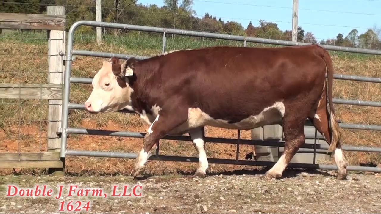 Double J Farm 1624 YouTube