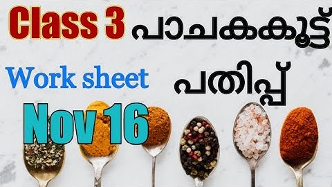 Class 3 Evs worksheet november 16|3 std parisarapadanam| kite victers std 3 evs class November 16