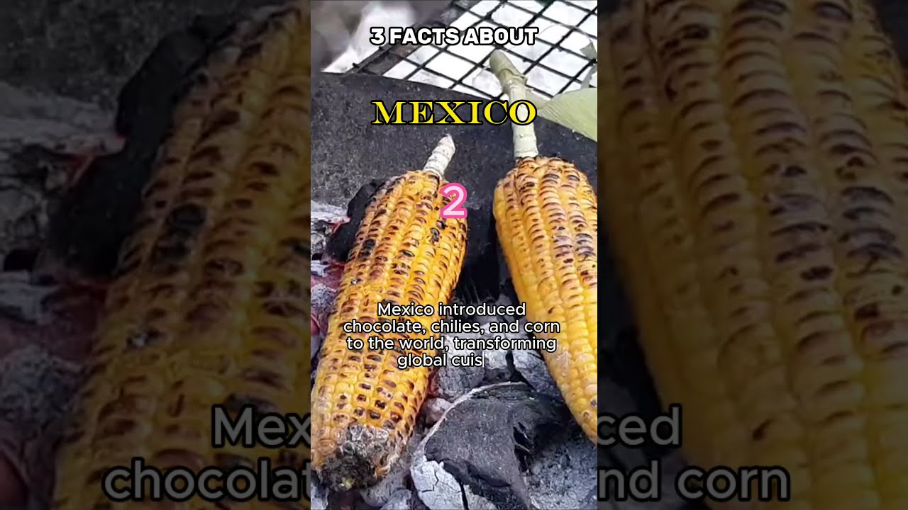 Mexico Unveiled 3 Spectacular Facts That Illuminate The Vibrant Heart Of Mesoamerica 
