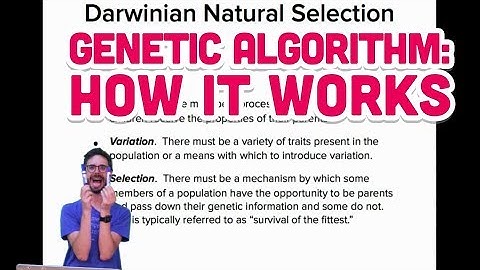 9.2: Genetic Algorithm: How it works - The Nature of Code