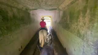 Smokemont Riding Stables Guided Trail Rides Cherokee NC