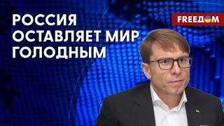 Зерновая сделка: с июля Украина экспортировала 40 млн тонн агропродукции, – эксперт