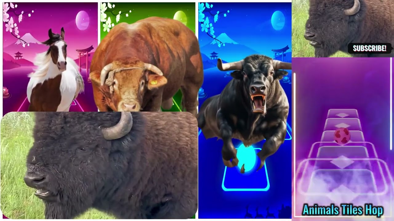 Funny Horse🐎🆚Funny Bull🐂🆚Funny Buffalo🐃🆚Funny Bison🦬🔴Tiles Hop EDM Rush #tileshopedmrush #rhythmgame