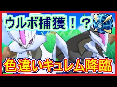 Usum 色違いキュレム ウルボで捕獲の瞬間 伝説色違いウルトラボールで捕獲の旅 ポケモンウルトラサンムーン メイルス実況 Youtube