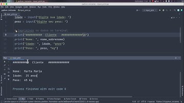 Python | Exercício - Função input() e print()