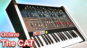 OCTAVE THE CAT Synthesizer - Sounds & Patches | Synth Demo