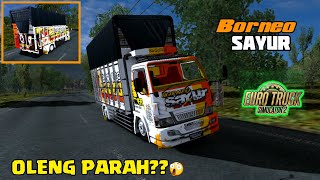 TRUCK CANTER BORNEO SAYUR OLENG - ETS2