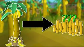 This Weird Money Maker is Actually GOOD | Wiki to Wealth