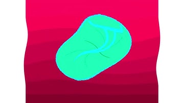 All Windows Animations From MS Paint Updated V3 in G Major 1677