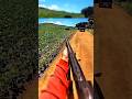 "Suddenly, a boar was passing by; I hunted it down." #boar_hunting #best_shoot