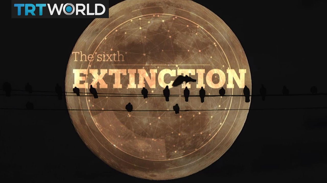 Roundtable: The Sixth Extinction