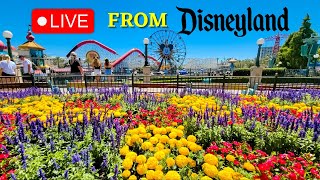 🔴 LIVE: Tuesday Afternoon at Disneyland