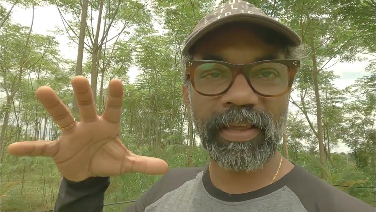 Advantages and Disadvantages of GoPro for Vlogging YouTube