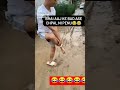 dont miss end? 🤣🤣🤣🤣🤣🤣🤣
