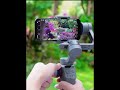 Gimbal video capture #smartphone #gimbal #iphonringtone #cameratest #camera #cameraman