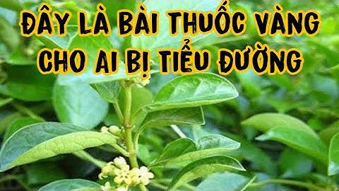 Đây là bài thuốc Vang cho Ai bị Tiẽu Đường . PHAN HẢI Channel
