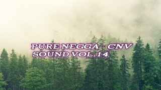 Pure Negga - cnv sound vol. 14  || (speed up) ||