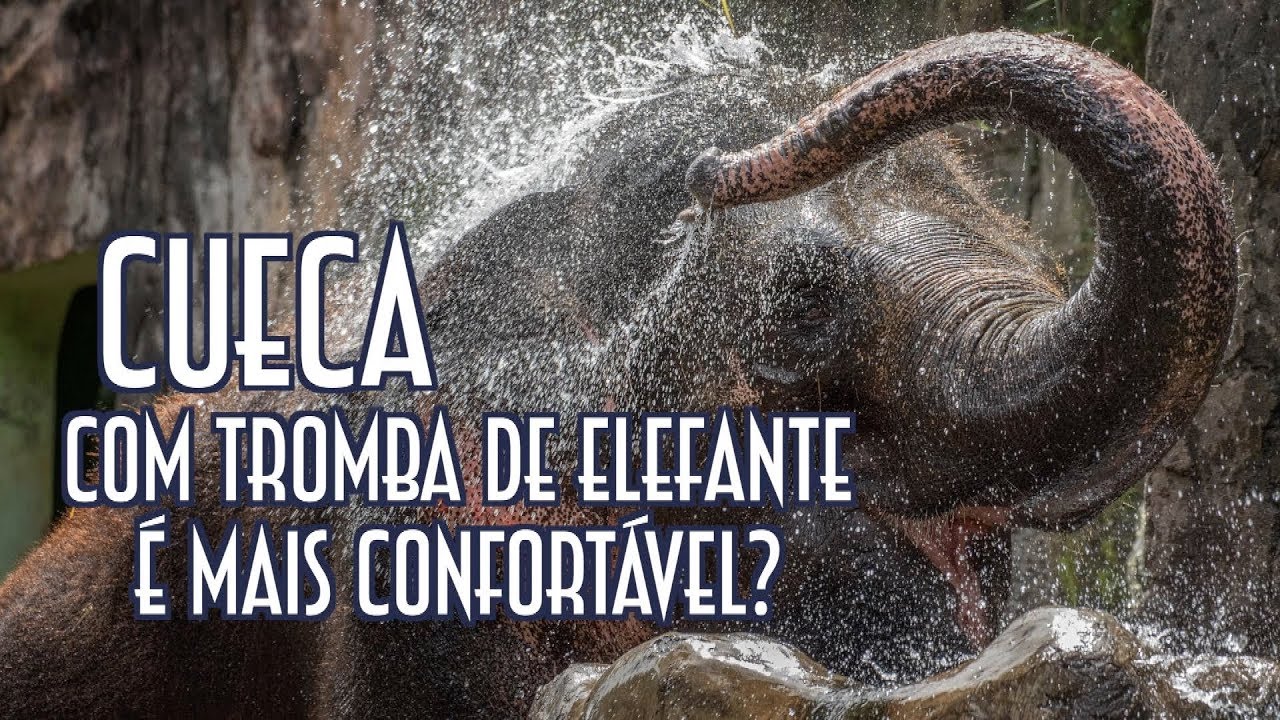 Cueca com tromba de elefante é mais confortável? - Emerson Martins Video  Blog 2019 