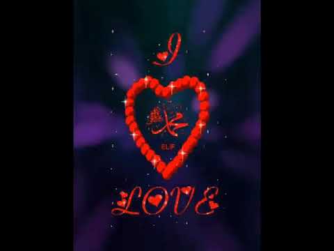 على الله الكريم يكون قصدي هو السند الذي صرنا إليه هو النور المعظم يحتوينا