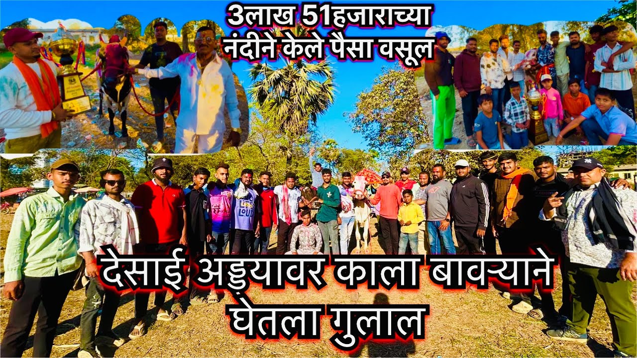 desai adda bailgada sharyat | live bailgada sharyat | kala bavrya ne ghetla pahila gulal 