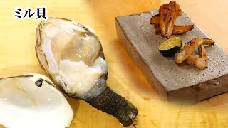 【本ミル貝の珍味】干物と味噌漬けでおつまみを作る【捌き方/下処理】