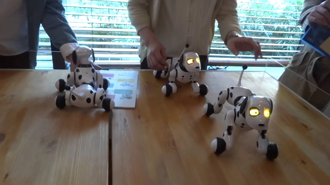 タカラトミー 2輪ロボット ハローミップ と犬型ロボット ハローズーマー Omnibot ブランドのロボットが復活 Pc Watch