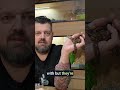 20ft Python Mistake - How to Avoid Buying the WRONG Reticulated Python #Snake