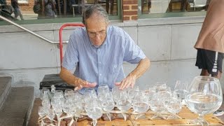 Street Performer Glass Harpist