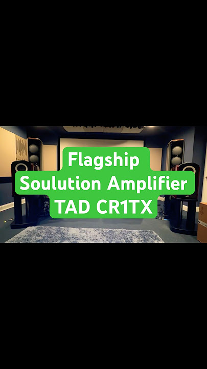 Flagship Soulution Amplifier With TAD CR1TX Loudspeakers #loudspeaker #hifiaudio #music #audiophile