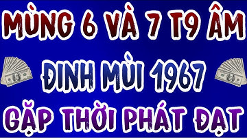 Tuổi Đinh Mùi 1967 Đón Vận Quý Nhân, Lộc Trời Gõ Cửa Đúng 2 Ngày Mùng 6 Và 7 Tháng 9 Âm 2025
