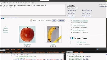 Webisode 4 - Webs.com Tutorial Video - Move webstore categories to the left