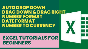 Auto Drop Down, Drag Down & Drag Right, Number Fomat, Date Format, Number to Currency Excel Training