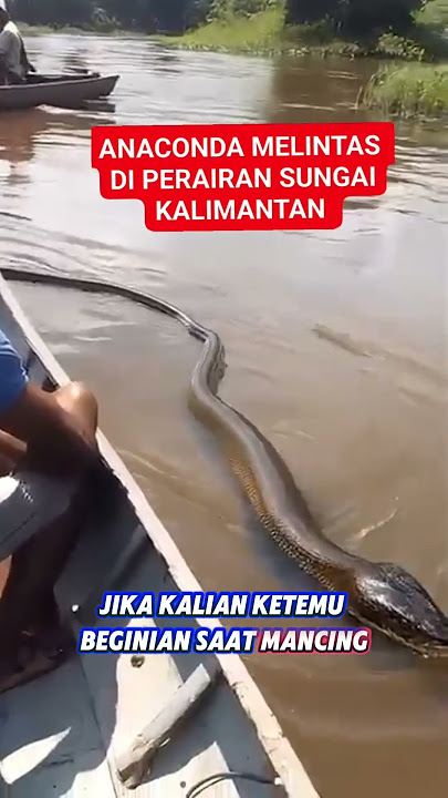NIAT MANCING IKAN, MALAH KETEMU ULAR BESAR! BIKIN PANIK SEMUA 😱🎣