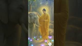 Buddha Turn Into Flower