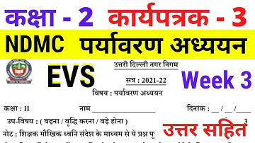 NDMC Class 2 EVS worksheet 3 solution Week 3 (15/06/2021) || पर्यावरण अध्ययन कार्यपत्रक 3 Class 2nd